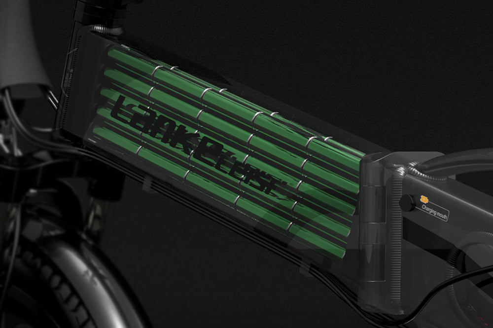 Batterie au lithium / Batterie Li-ion spéciale pour vélo électrique LANKELEISI