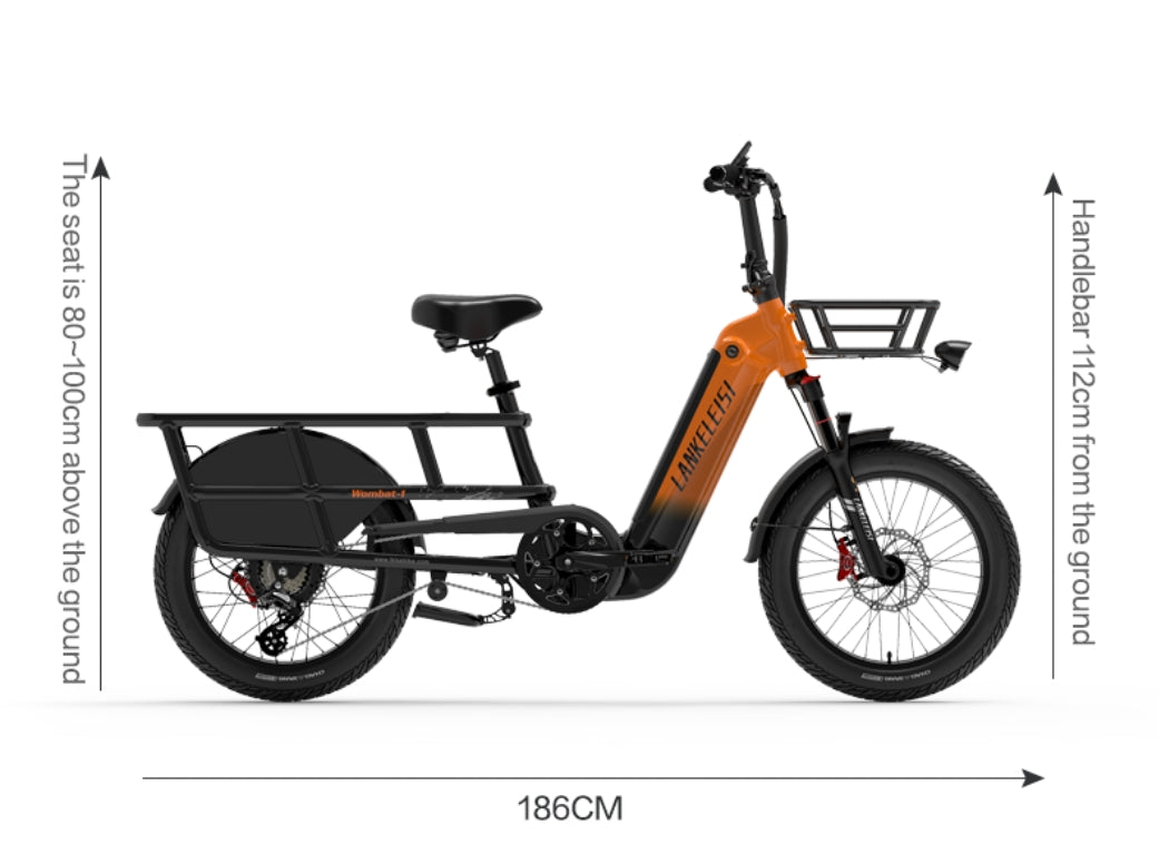 LANKELEISI Wombat-1 1000W Bicicletta Elettrica da Corsa a Lunga Distanza