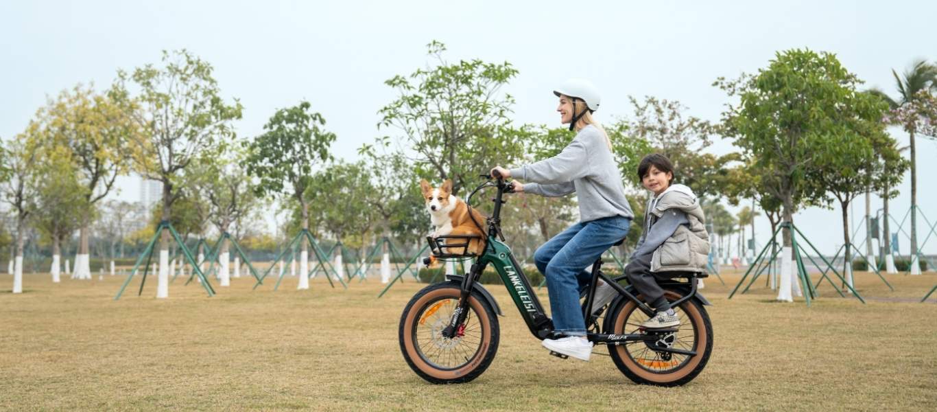 Buying Guide: Basic Standards for Electric Bicycle Frames