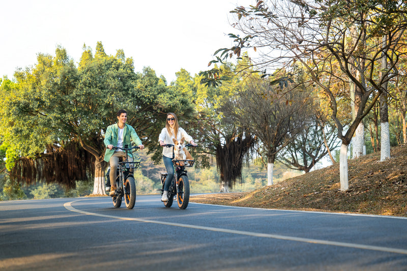 Tapkite testavimo punktu Lankeleisi