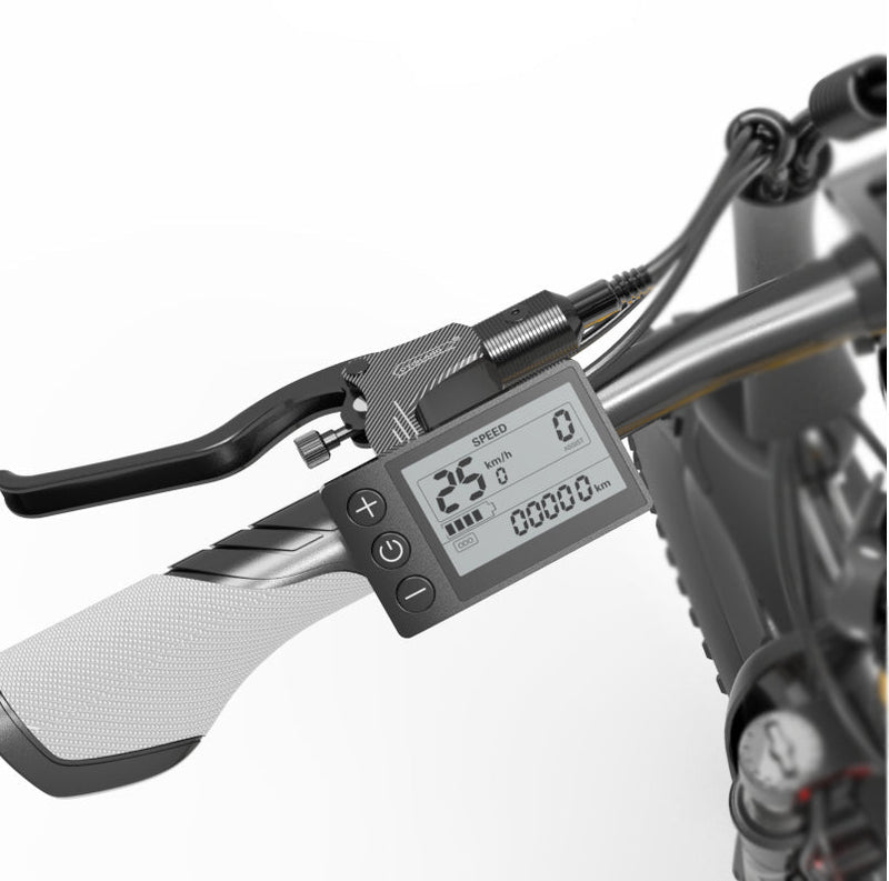 Pantalla LCD en color