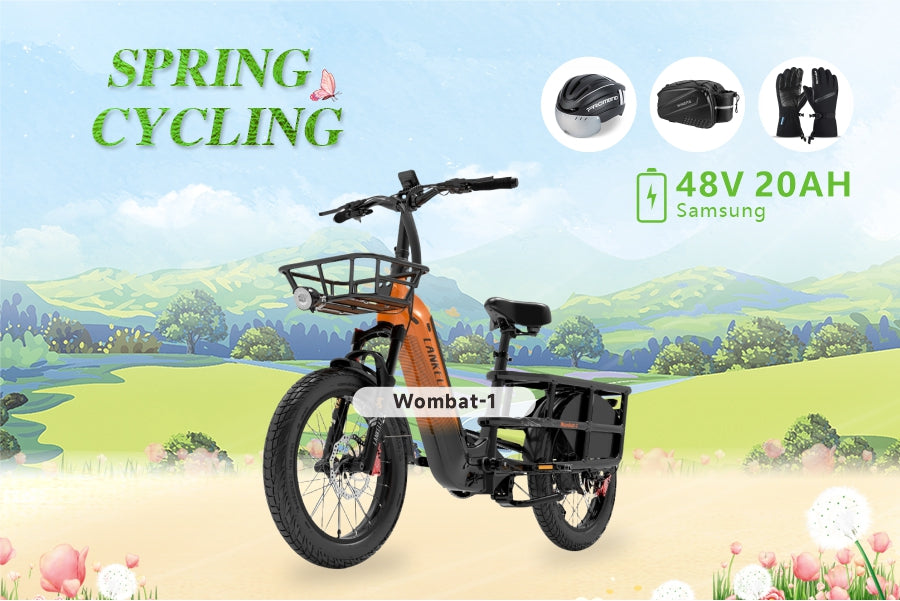 Lankeleisi WOMBAT-1 | Saldi di primavera