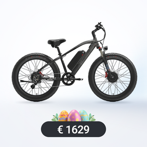 LANKELEISI MG740PLUS Roti Elettriċi Off-Road b'Mutur Doppju