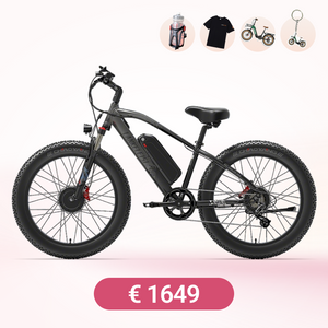 LANKELEISI MG740PLUS Dual Motor Off-Road Electric Bike