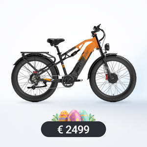 LANKELEISI MG800Max 2000W Motor Doppju 26″ Roti Ħoxnin Ċikliżmu Elettriku Għall-Terreni Kollha