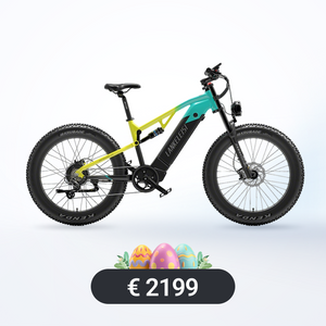 Bicicleta eléctrica de doble motor LANKELEISI X3000 MAX 2000W