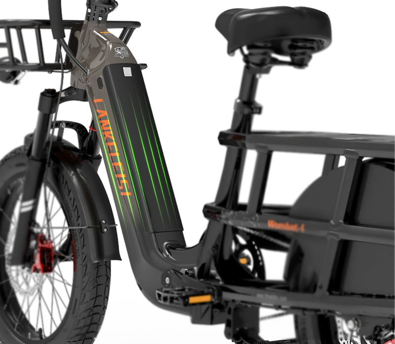 48V 20Ah bateria litowa SAMSUNG