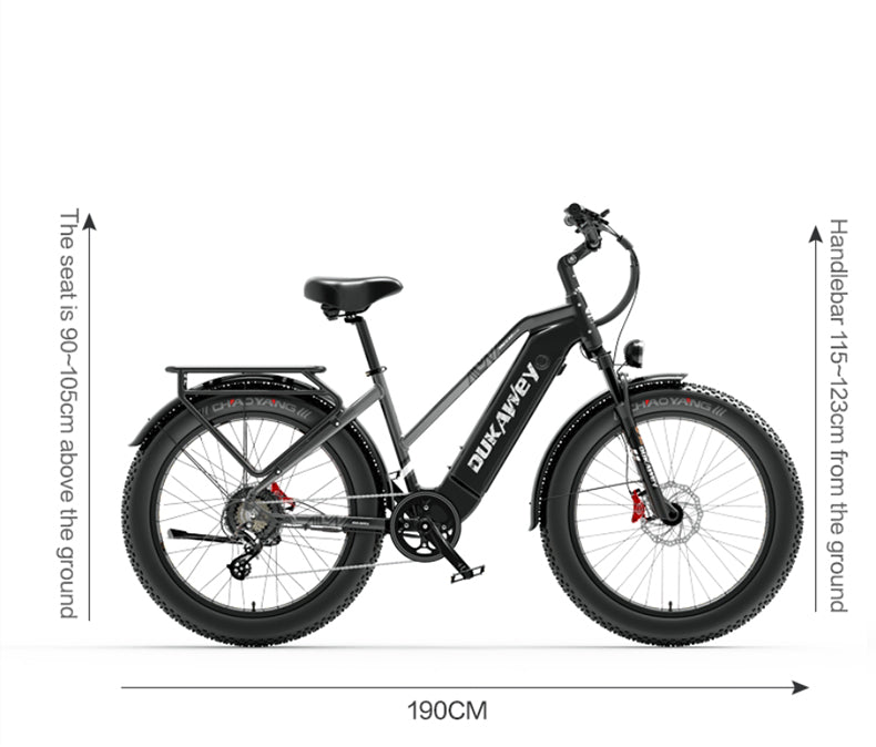 Dukawey DM530 Plus 1000W All-Terrain-Elektrofahrrad